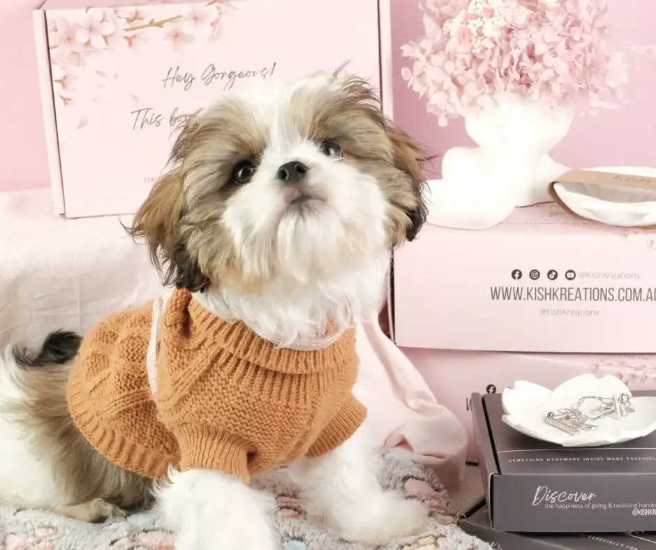 A fluffy shih tzu wearing a cozy, tan cable-knit sweater with ribbed cuffs and hem.